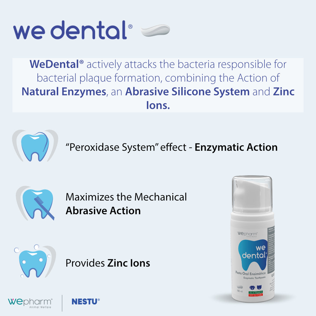 WeDental Enzymatic Toothpaste (100 ml palatable oral paste) for Cats and Dogs