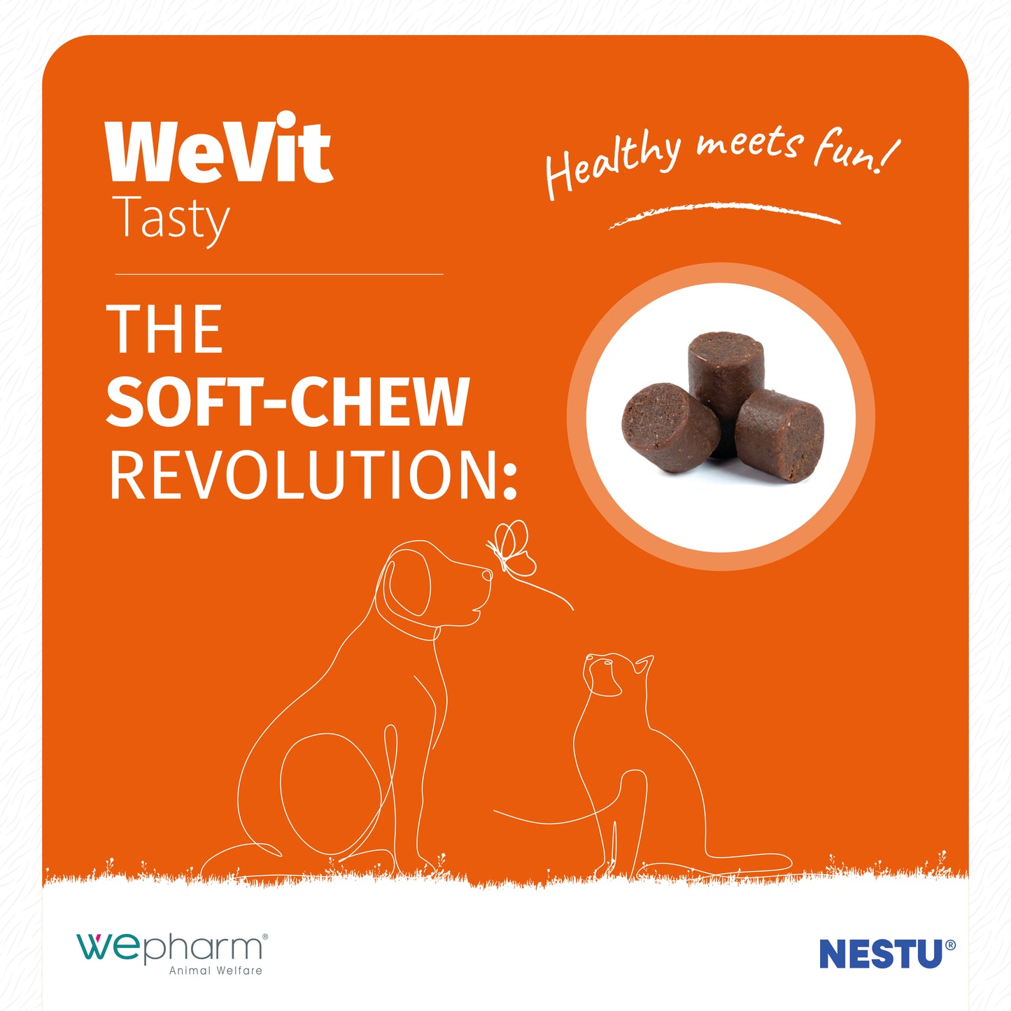 WeVit Tasty x 30 Soft Chews For Cats and Dogs