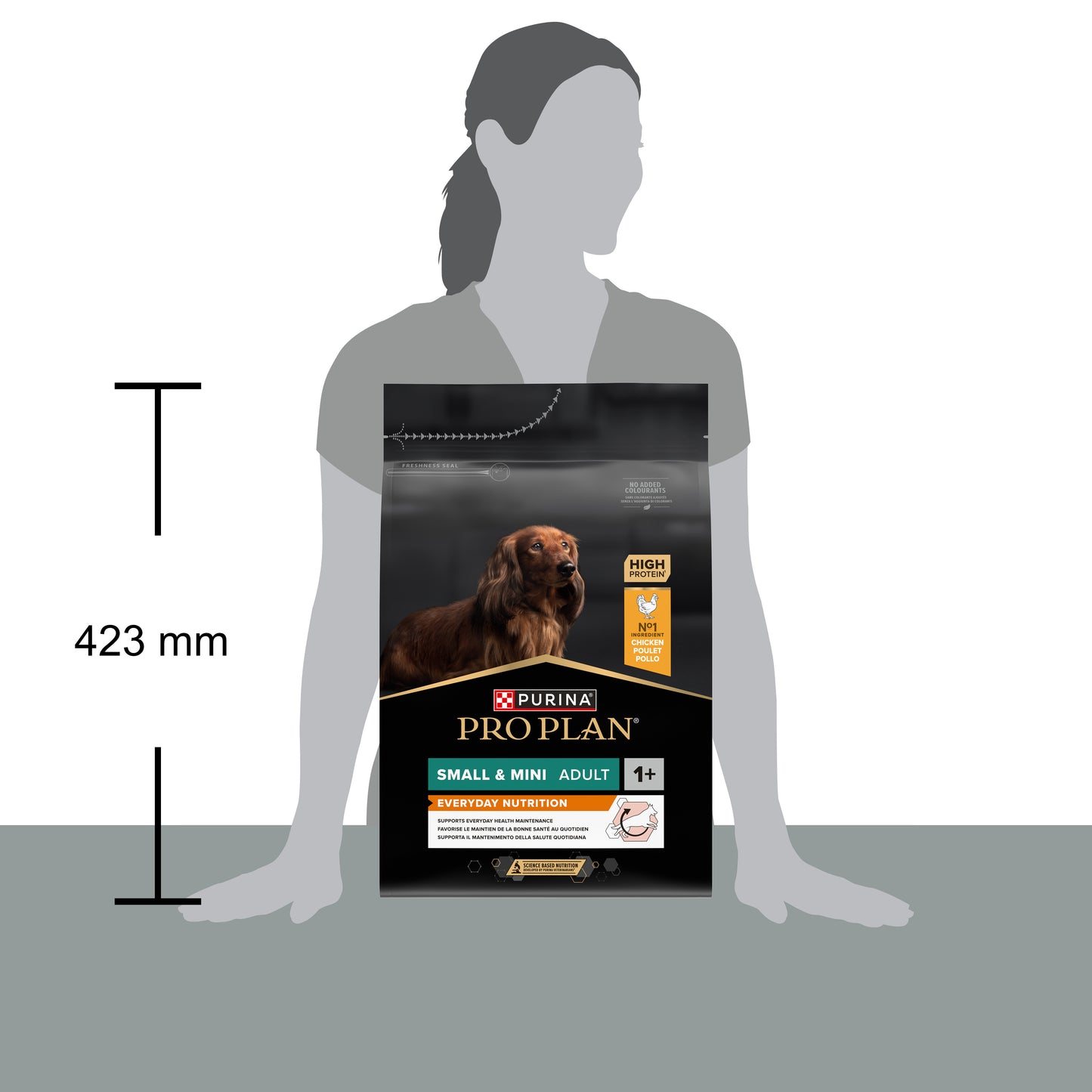 Pro Plan Small Mini Puppy Healthy Start Dry Dog Food with Chicken 3Kg