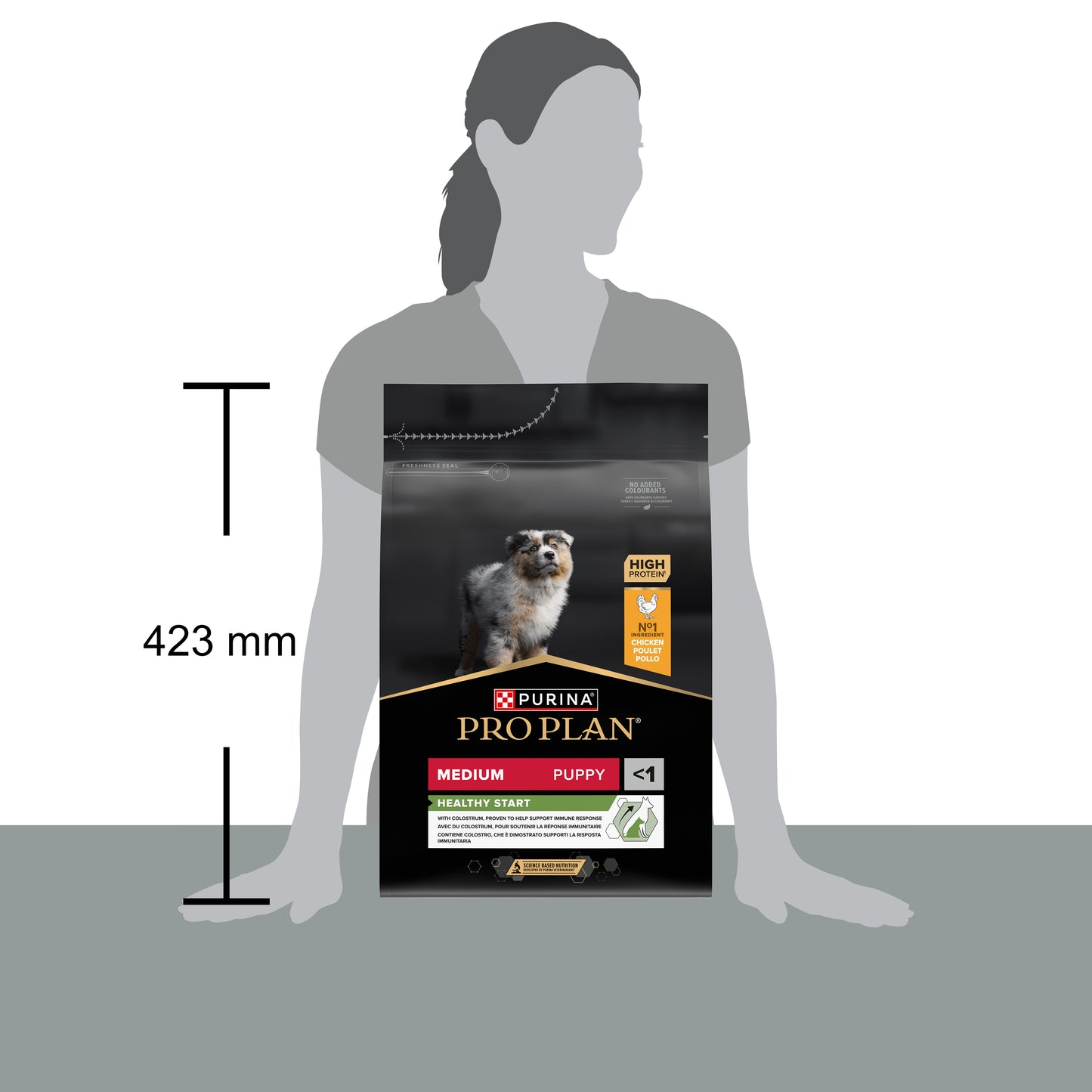 Pro Plan Medium Puppy Healthy Start Dry Dog Food with Chicken