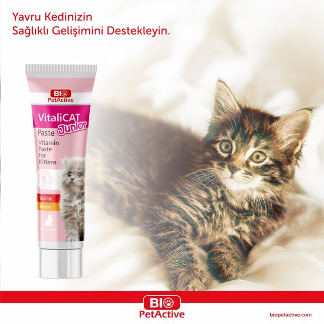 Vi̇tali̇cat Paste Junior - Vitamin Pastes for Puppies & Kittens