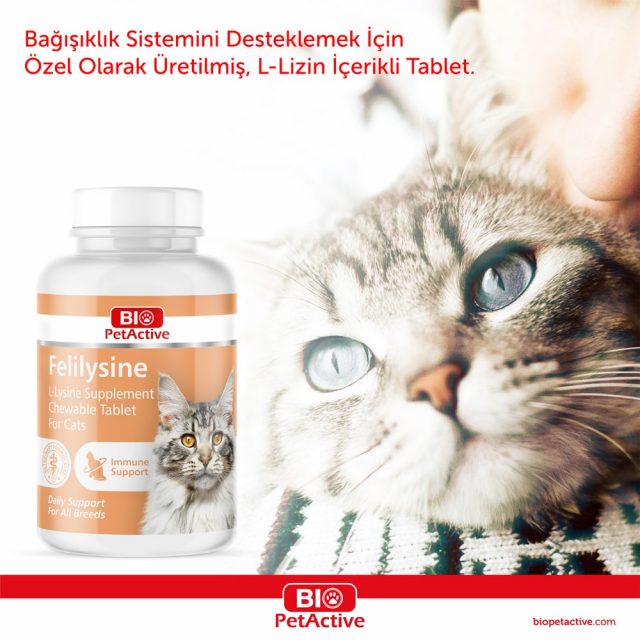 Bio-Felilysine Tablet - L-Lysine Supplements for Cats