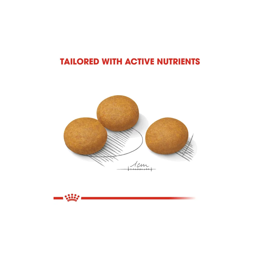 SHN MAXI DERMACOMFORT Dry Food Royal Canin