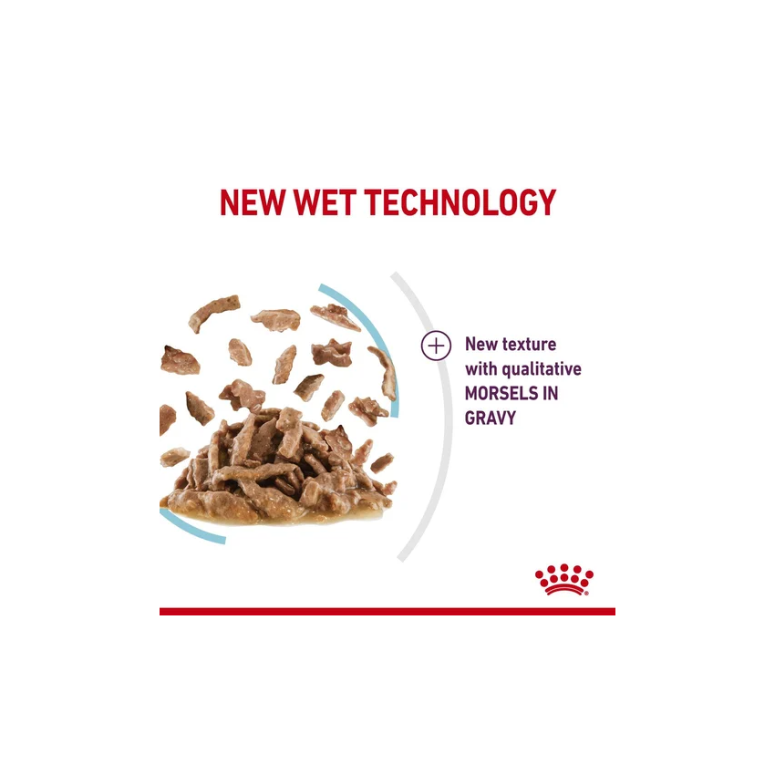 SENSORY FEEL GRAVY 85G Wet Food Royal Canine