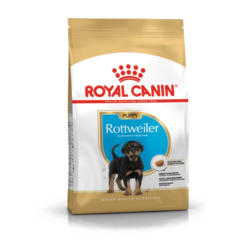 BHN ROTTWEILER PUPPY 12KG