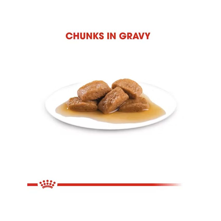 ROYAL CANIN MAXI ADULT 10X140G