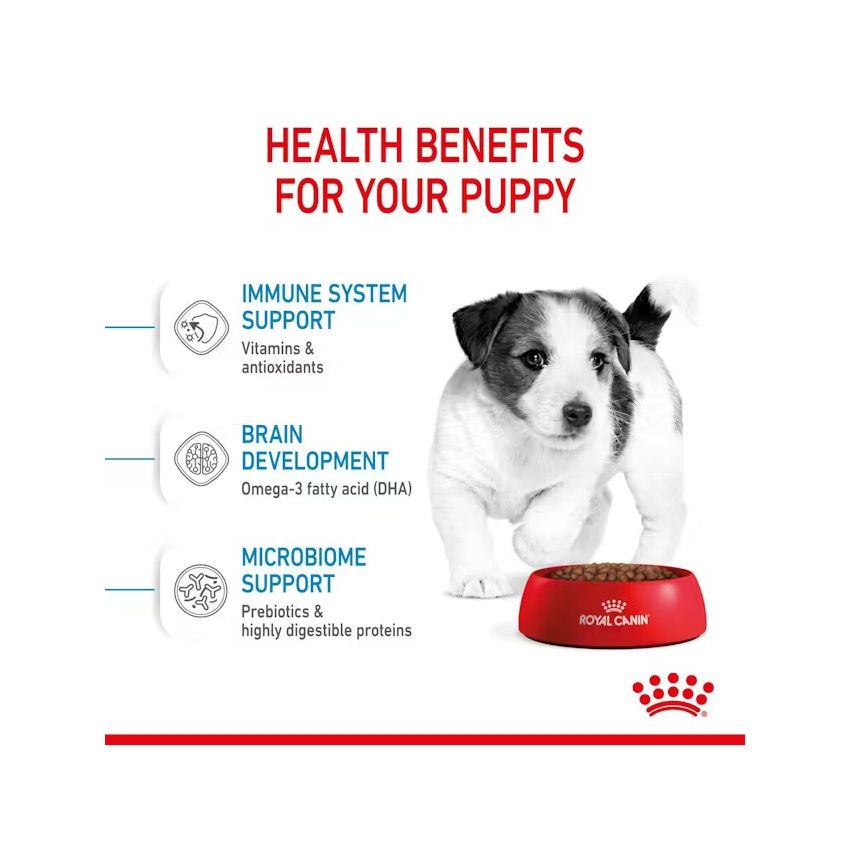 SHN MINI PUPPY Dry Food Royal Canin