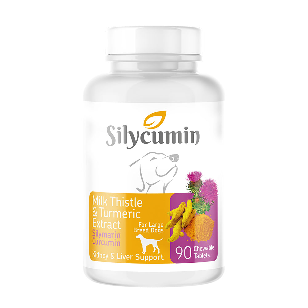 Silycumin Supplements