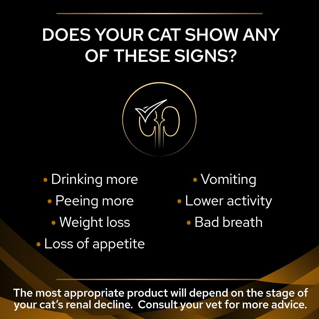 Pro Plan Veterinary Diets NF Renal Function Wet Cat Food Pouch Salmon in Gravy 85g x 10