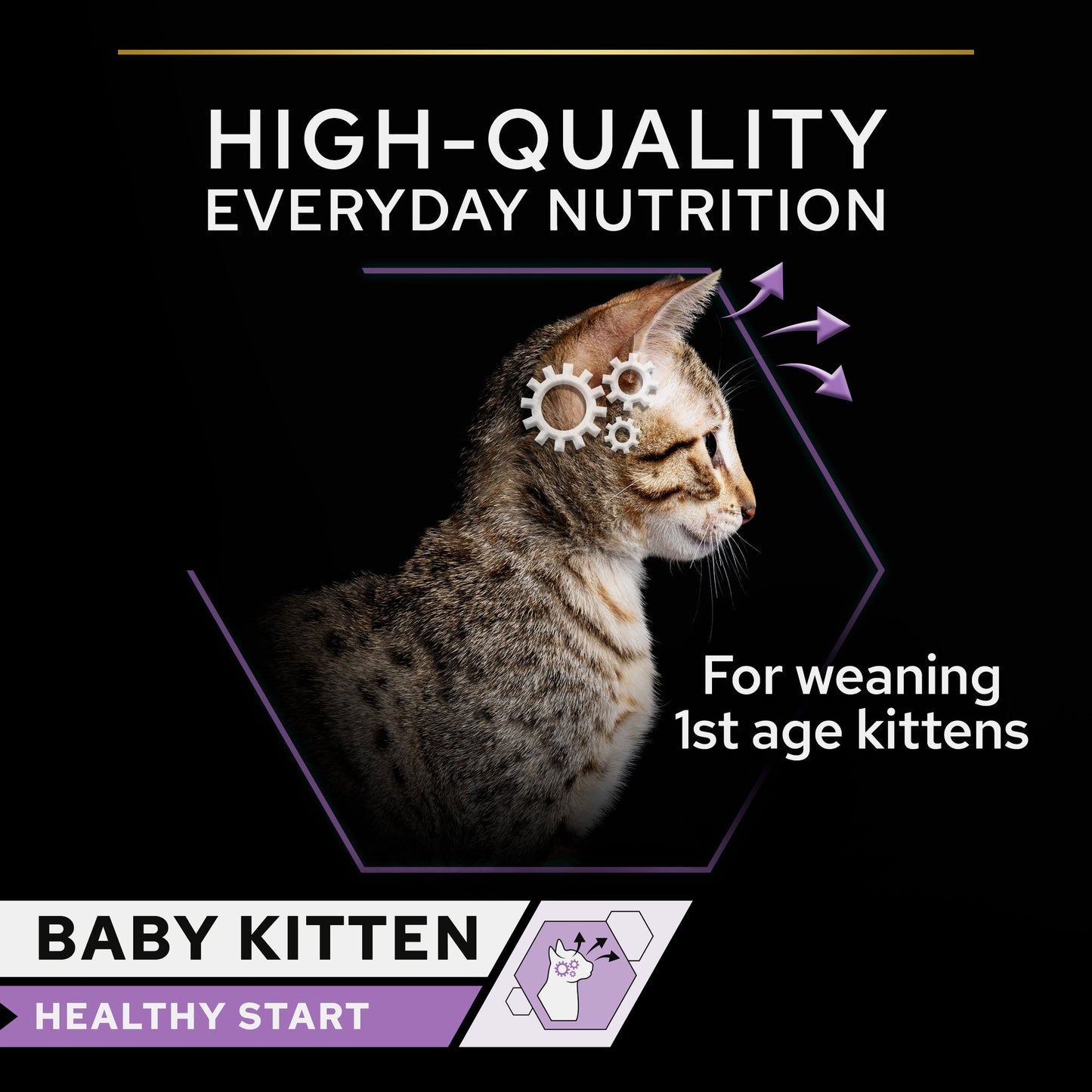 Pro Plan Baby Kitten Healthy Start Mousse Wet Cat Food Can with Chicken 85g x 24
