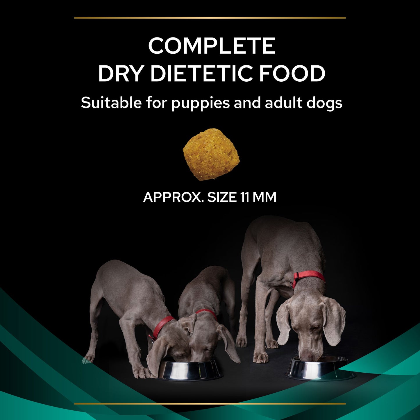 Pro Plan Veterinary Diets EN Gastrointestinal Dry Dog Food 1.5Kg