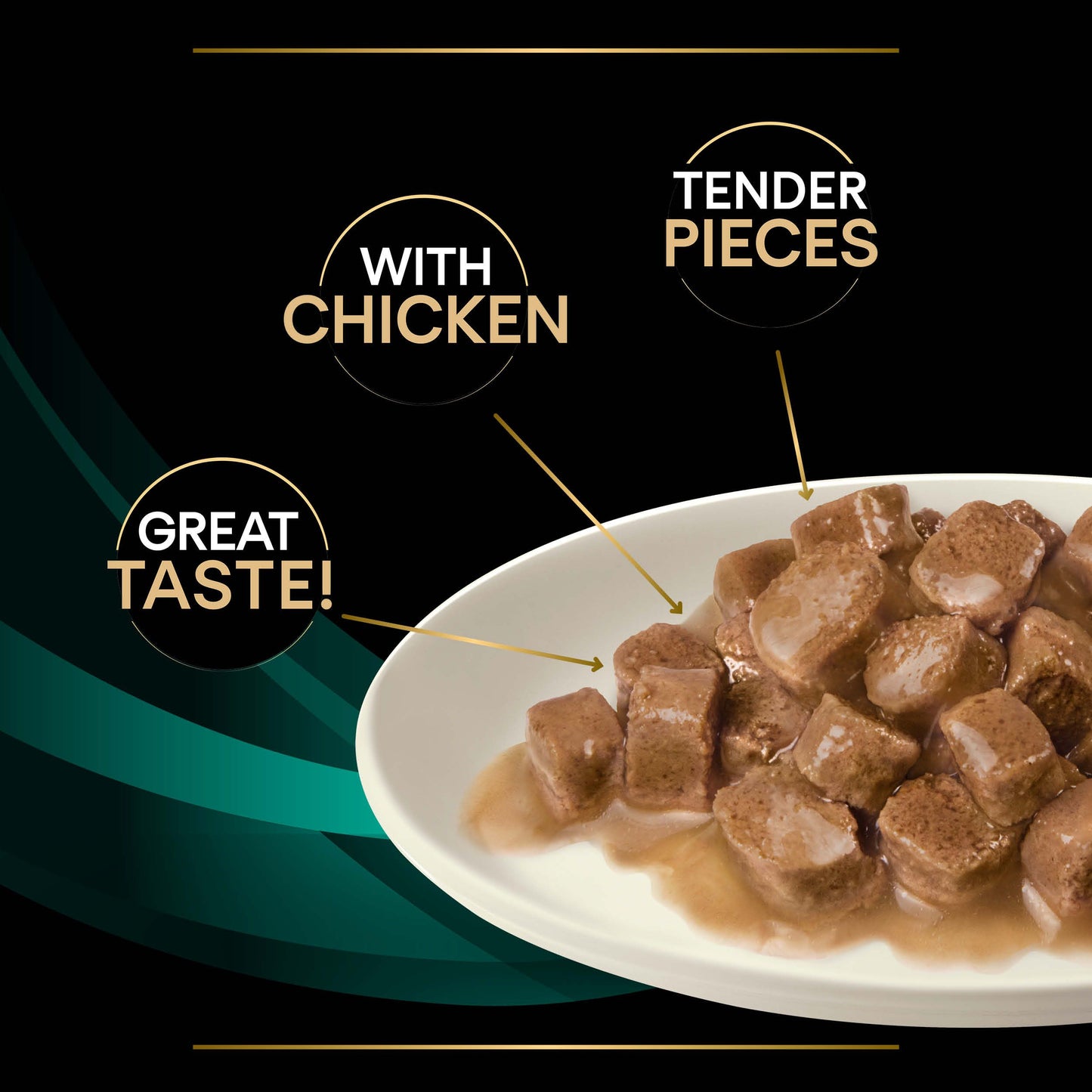 Pro Plan Veterinary Diets EN Gastrointestinal Wet Cat Food Pouch Chicken in Gravy 85g x 10