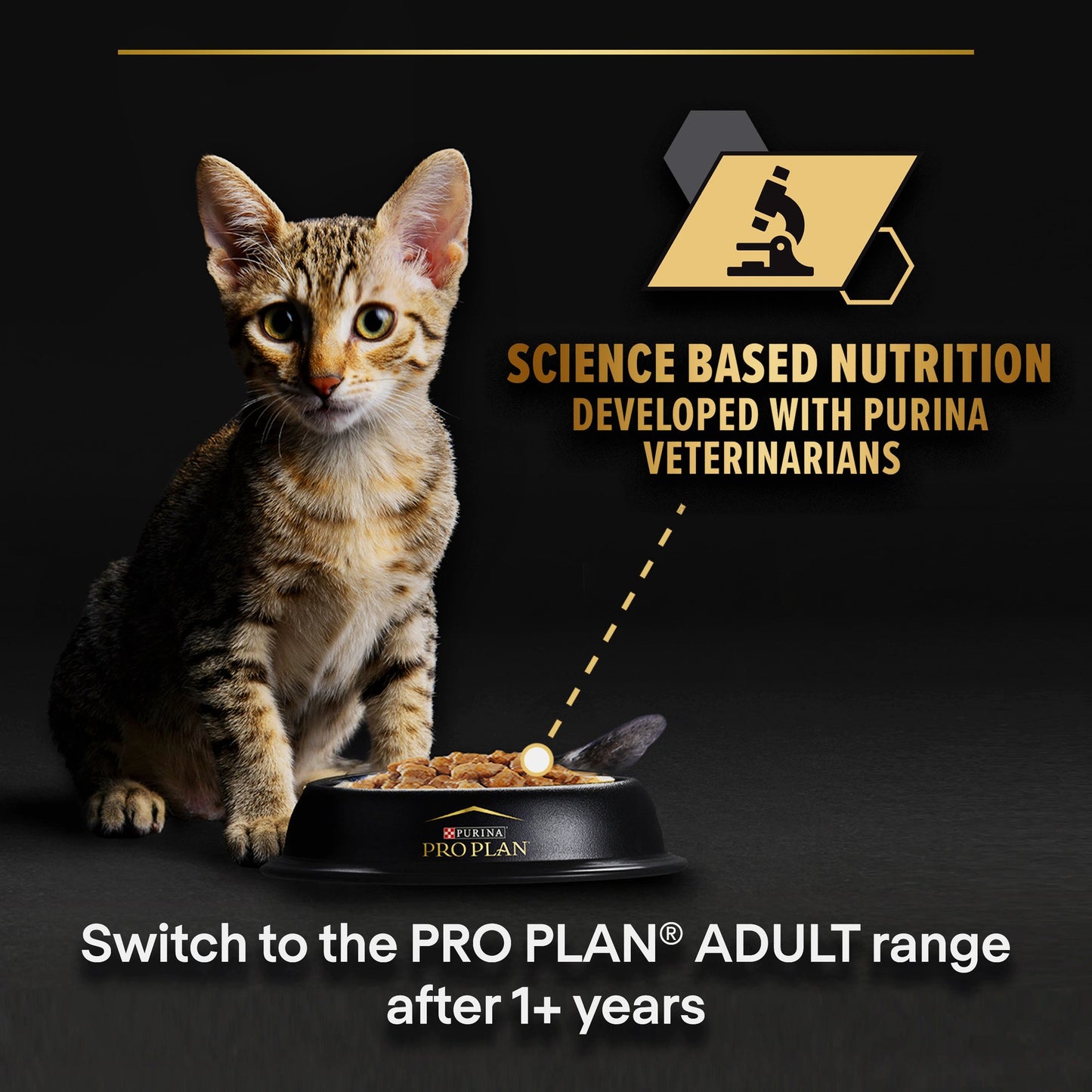 Pro Plan Baby Kitten Healthy Start Mousse Wet Cat Food Can with Chicken 85g x 24