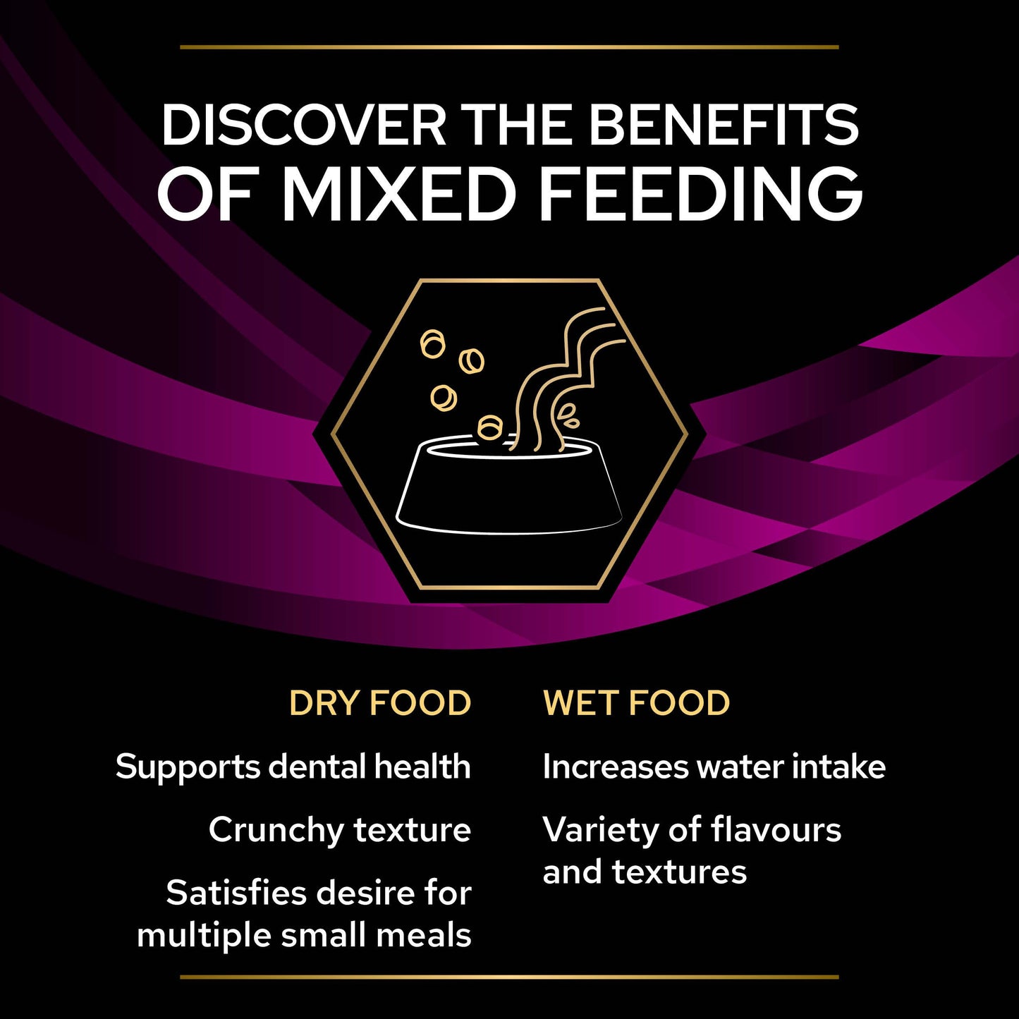 Pro Plan Veterinary Diets UR Urinary Wet Cat Food Pouch Salmon in Gravy 85g x 10