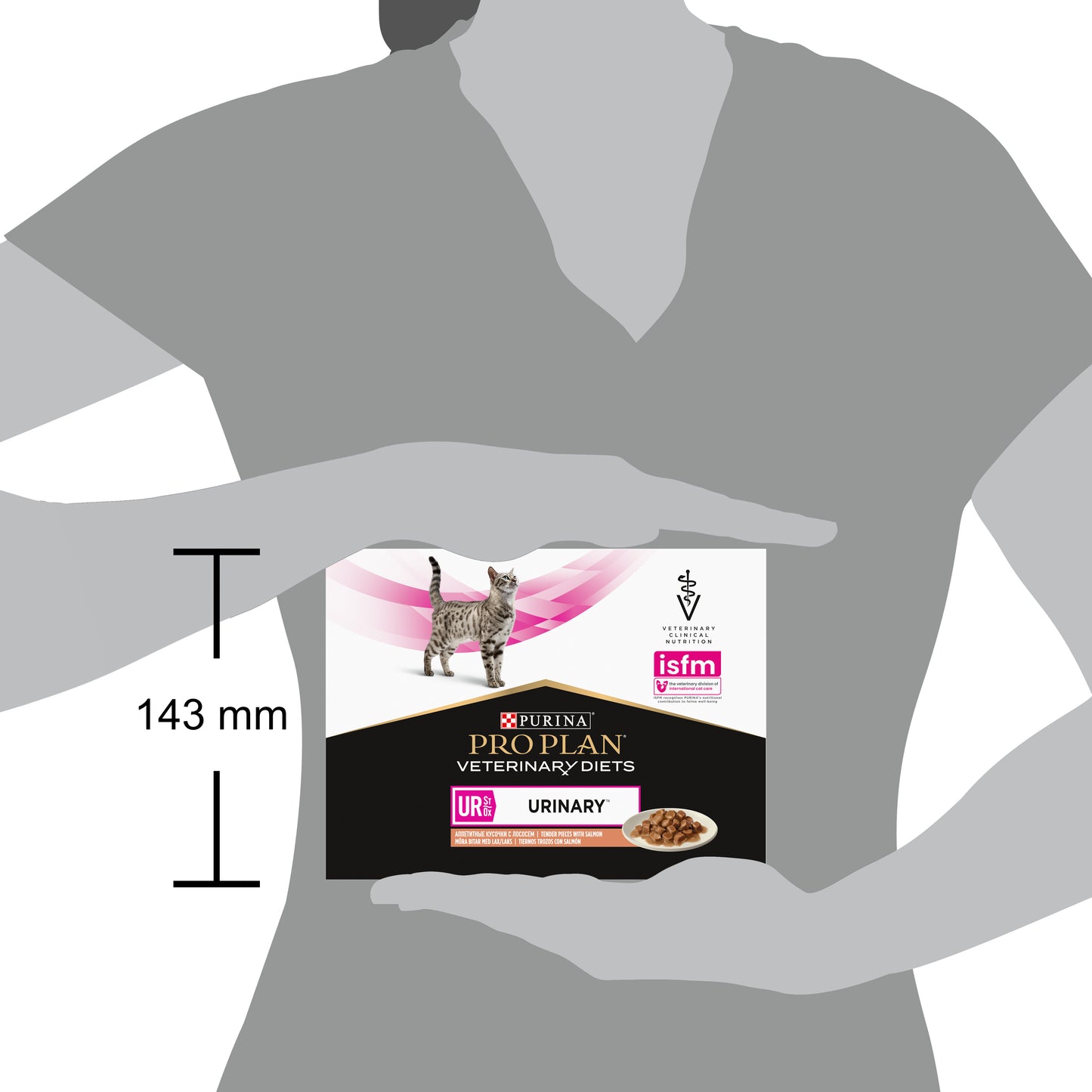 Pro Plan Veterinary Diets UR Urinary Wet Cat Food Pouch Salmon in Gravy 85g x 10