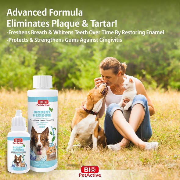 Biodent Hexi̇di̇ne - Oral and Dental Care for Cats and Dogs