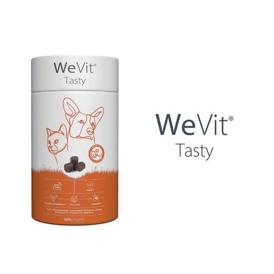 WeVit Tasty x 30 Soft Chews For Cats and Dogs