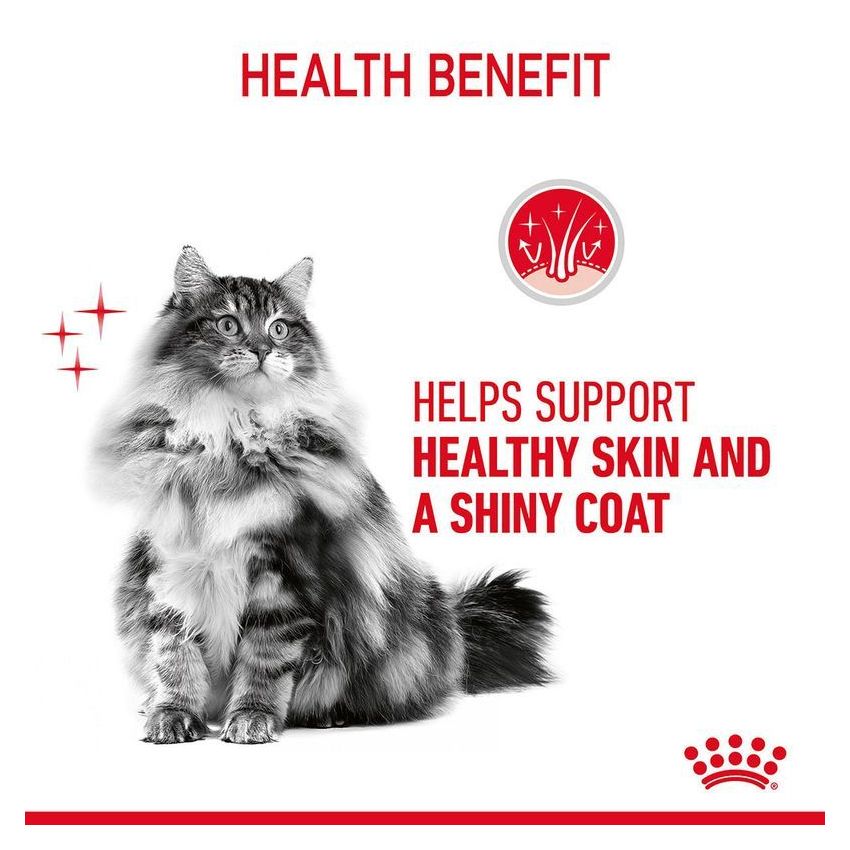 Hair & Skin Care Jelly 85G Wet Food Royal Canine