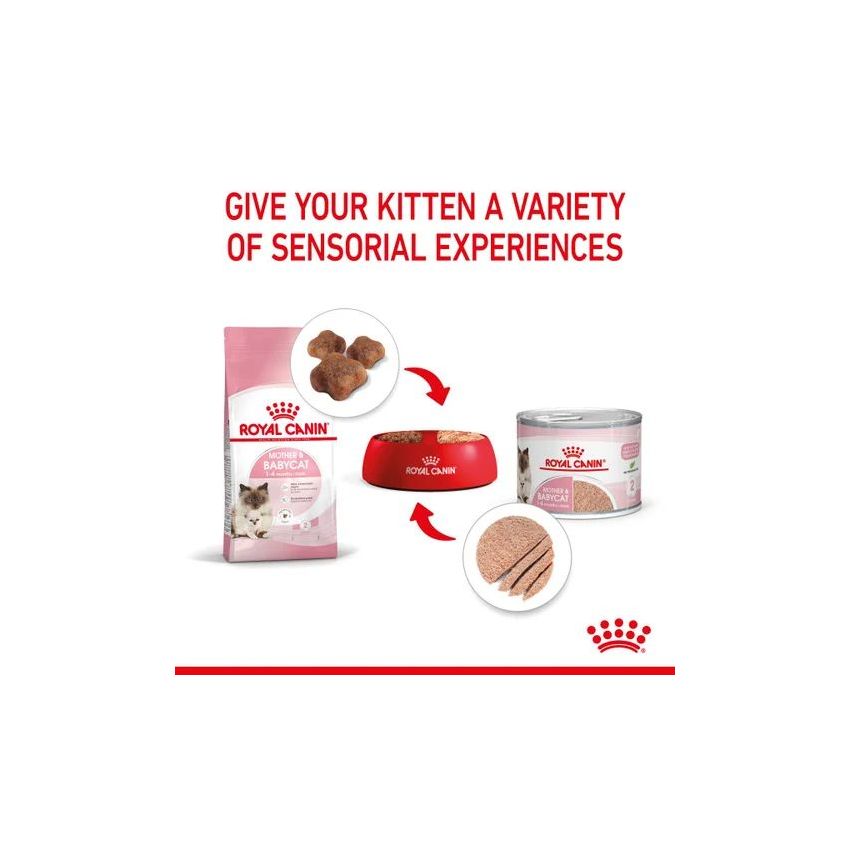 BABYCAT EAST INSTINCTIVE 195G Royal Canine