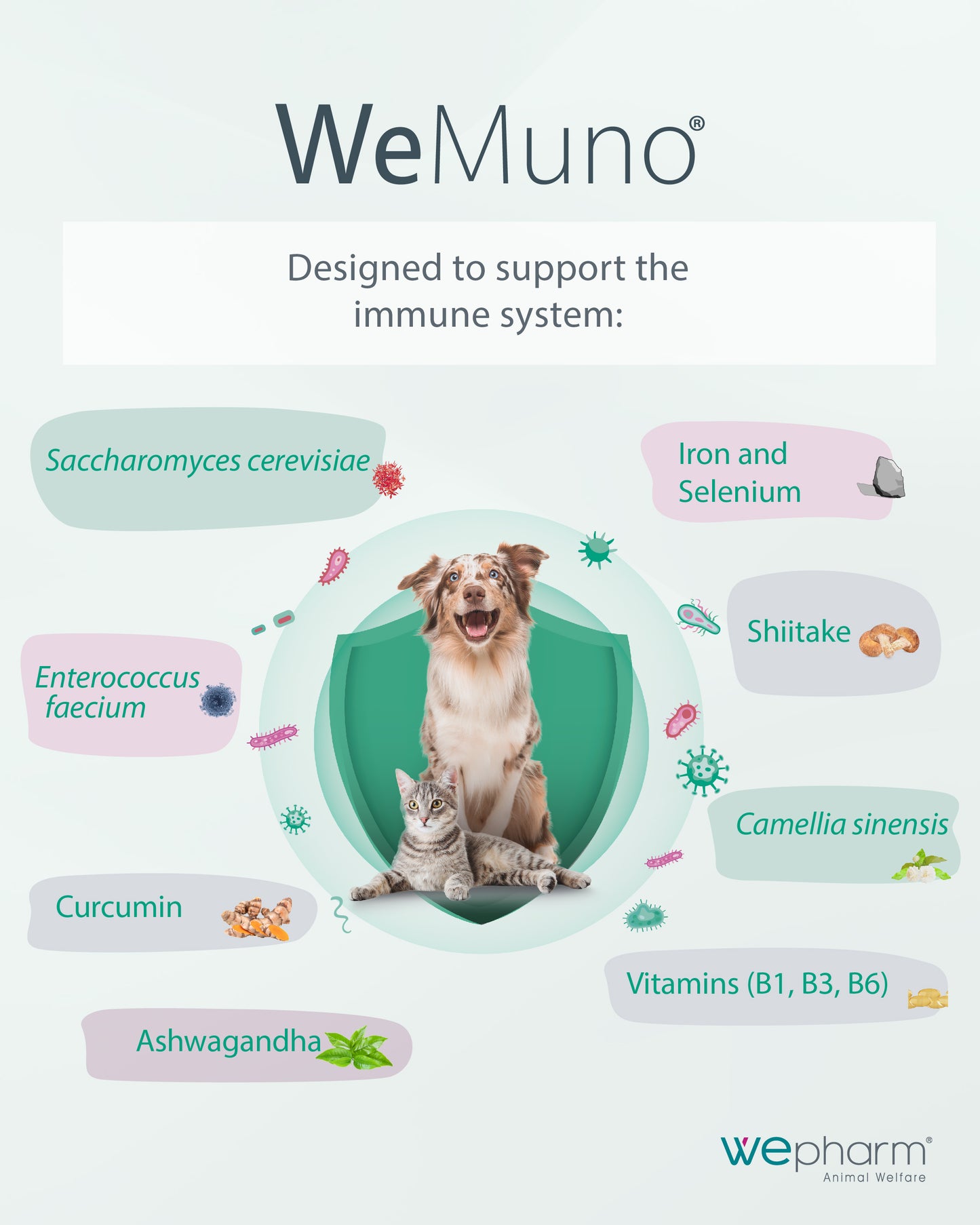 WeMuno 225gm Palatable Powder for Cats and Dogs