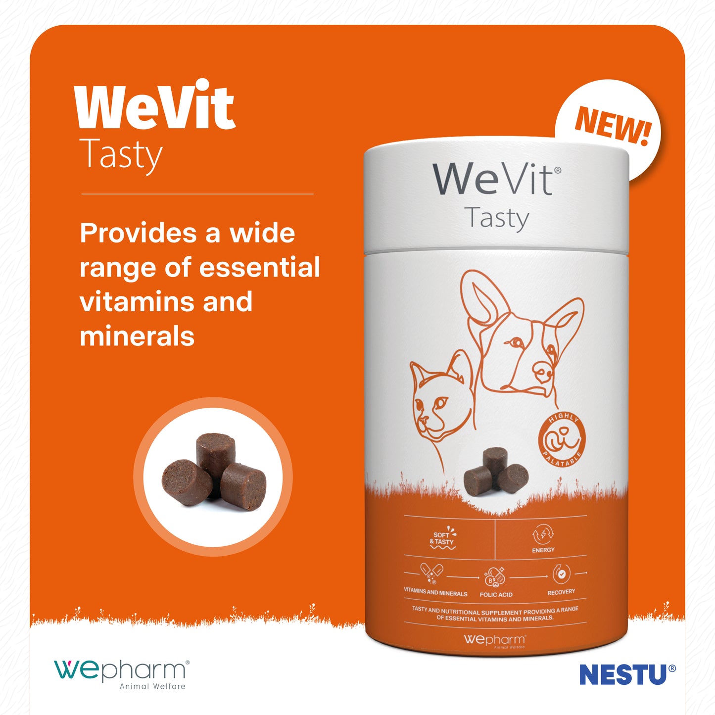 WeVit Tasty x 30 Soft Chews For Cats and Dogs