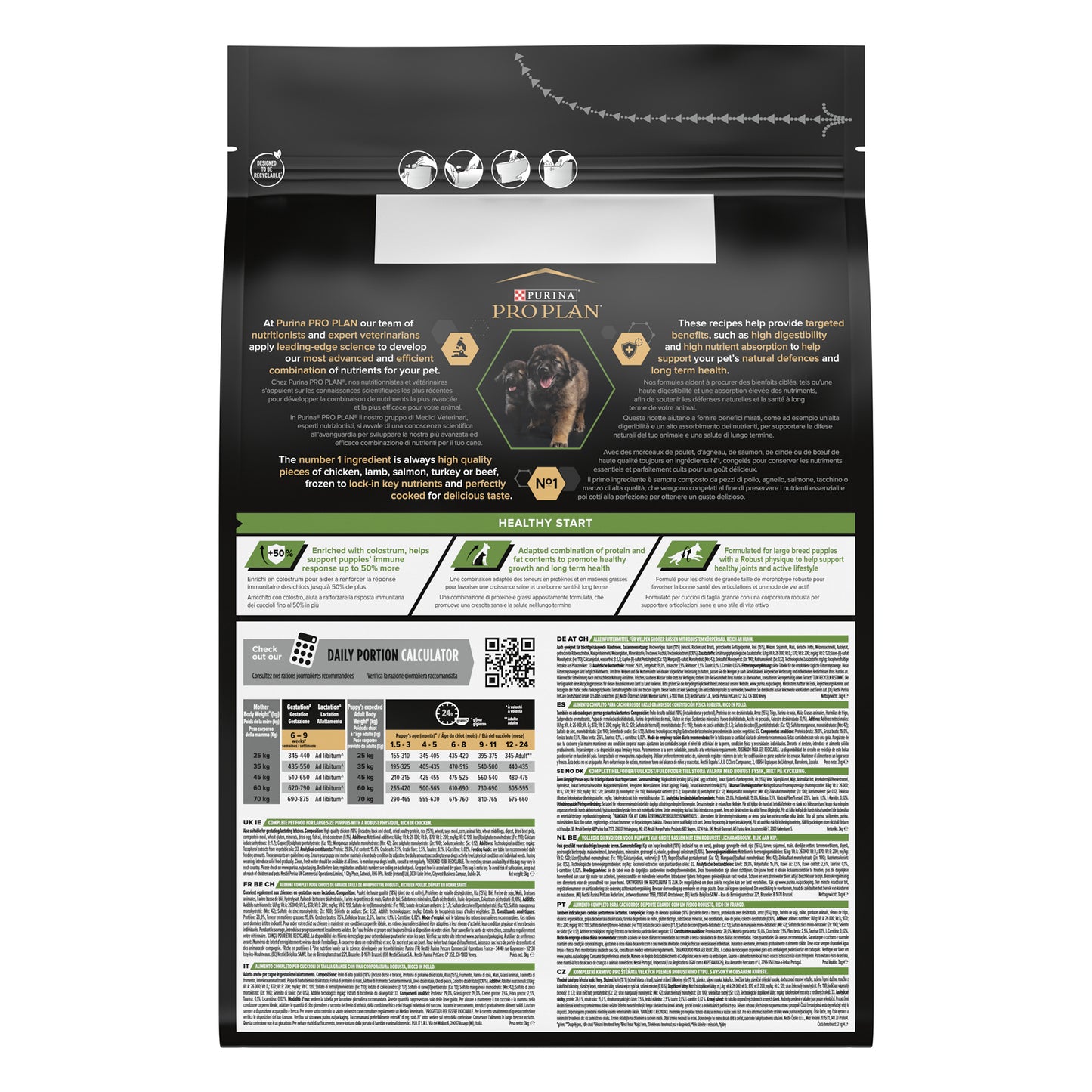 Pro Plan Large Robust Puppy Healthy Start Dry Dog Food with Chicken