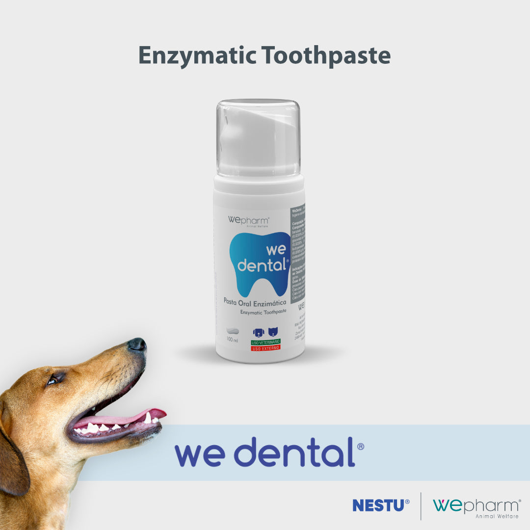 WeDental Enzymatic Toothpaste (100 ml palatable oral paste) for Cats and Dogs