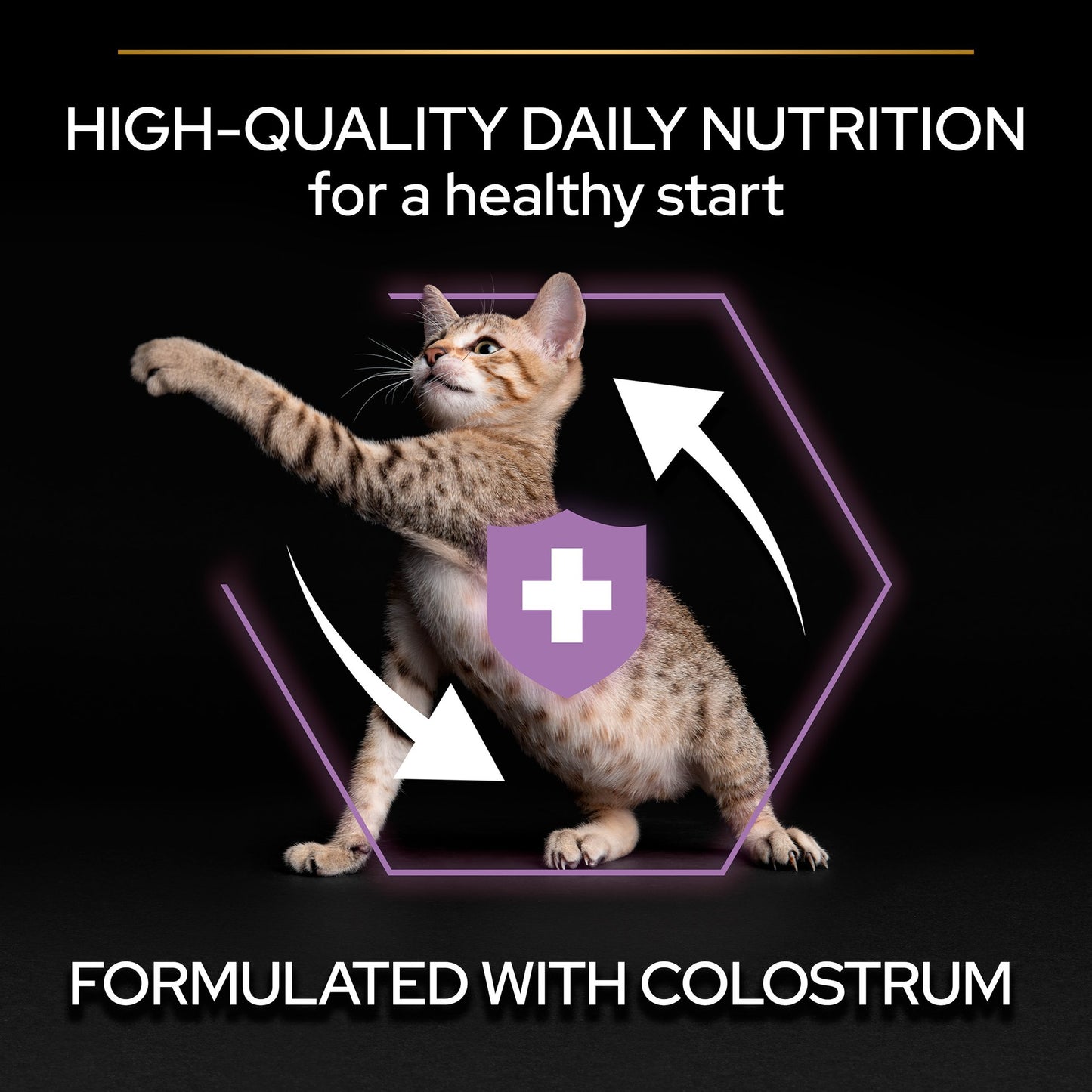 Pro Plan Kitten Healthy Start Dry Cat Food with Chicken 1.5 Kg