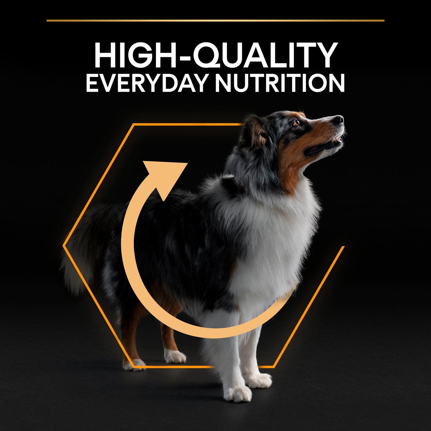 Pro Plan Medium Adult Everyday Nutrition Dry Dog Food with Chicken 3Kg