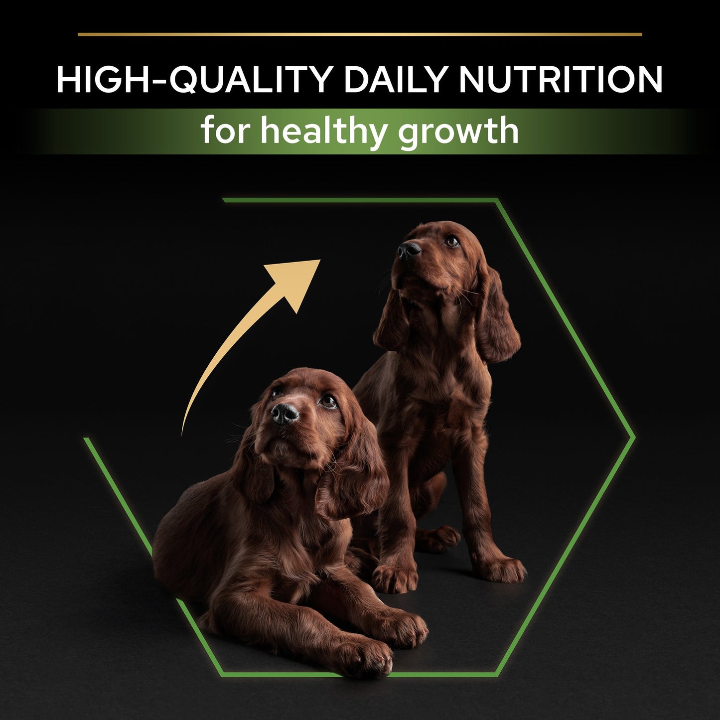 Pro Plan Healthy Start Large Athletic Puppy, Dry Dog food with Chicken,