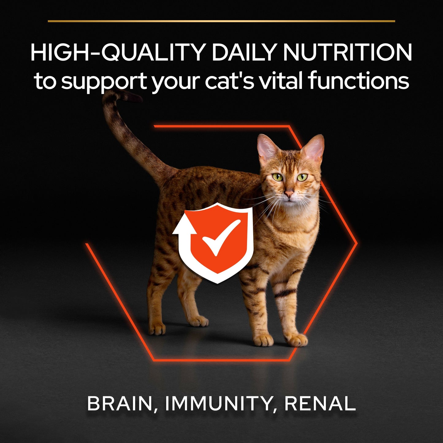 Pro Plan Adult Vital Functions Everyday Dry Cat Food with Salmon, 1.5 Kg