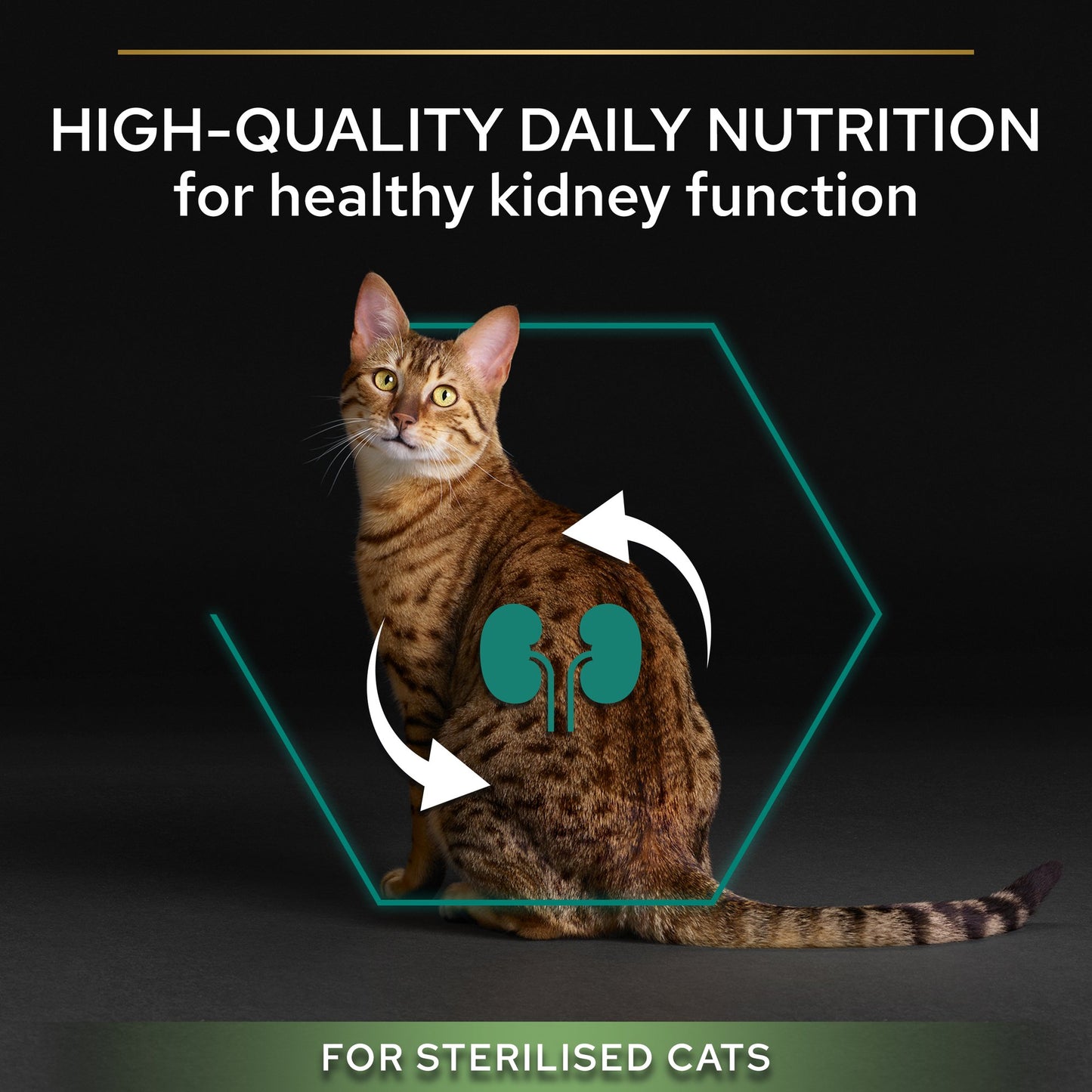 Pro Plan Steralized Adult Renal Plus Everyday Dry Cat Food with Turkey 1.5Kg