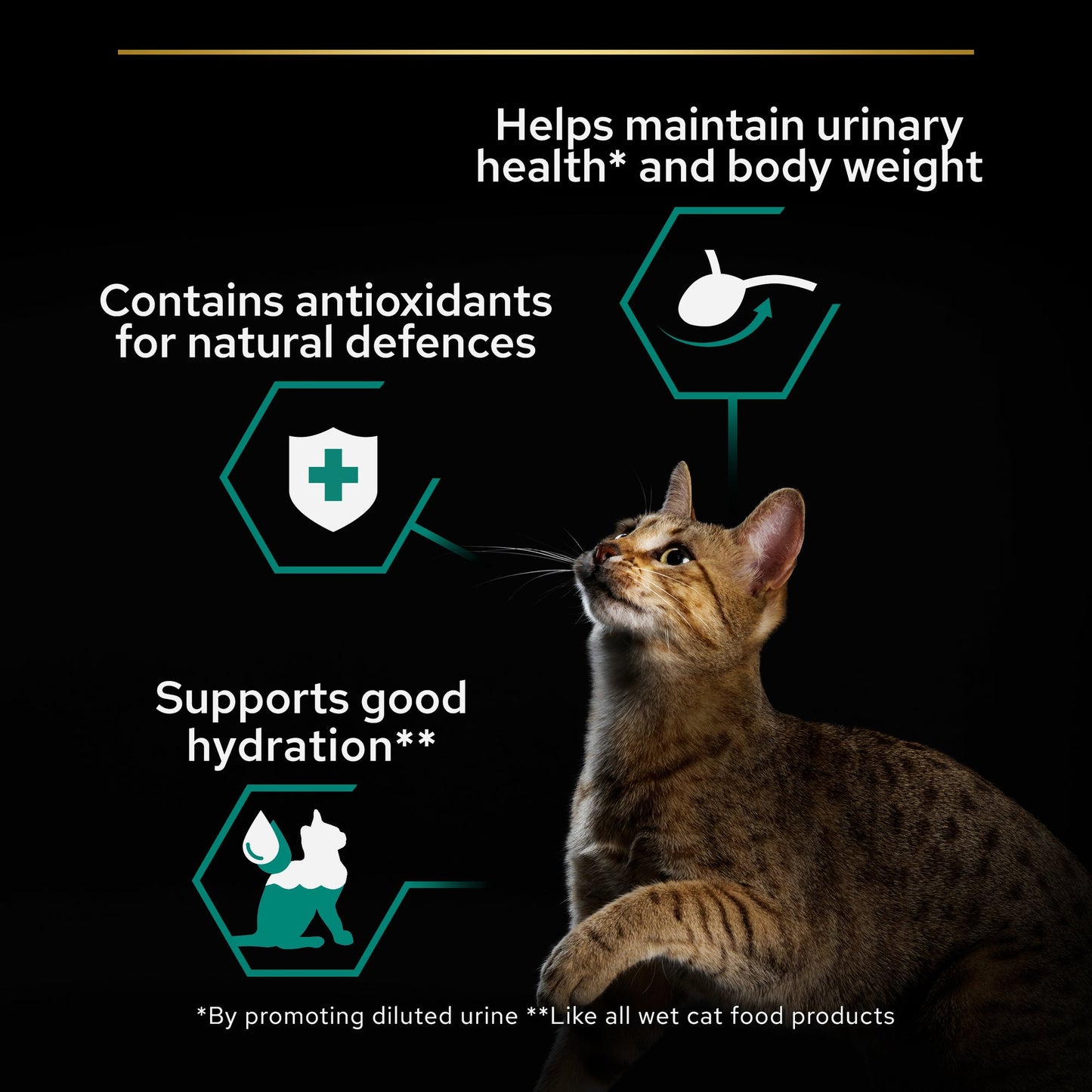 Pro Plan Sterilised Adult Wet Cat Food, Chicken in Gravy,  Multipack 10x85g