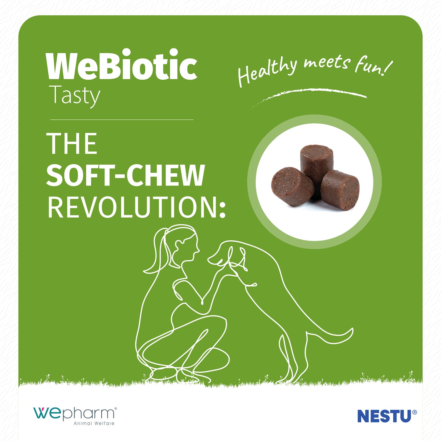 WeBiotic Tasty x 30 Soft Chews For Cats nd Dogs