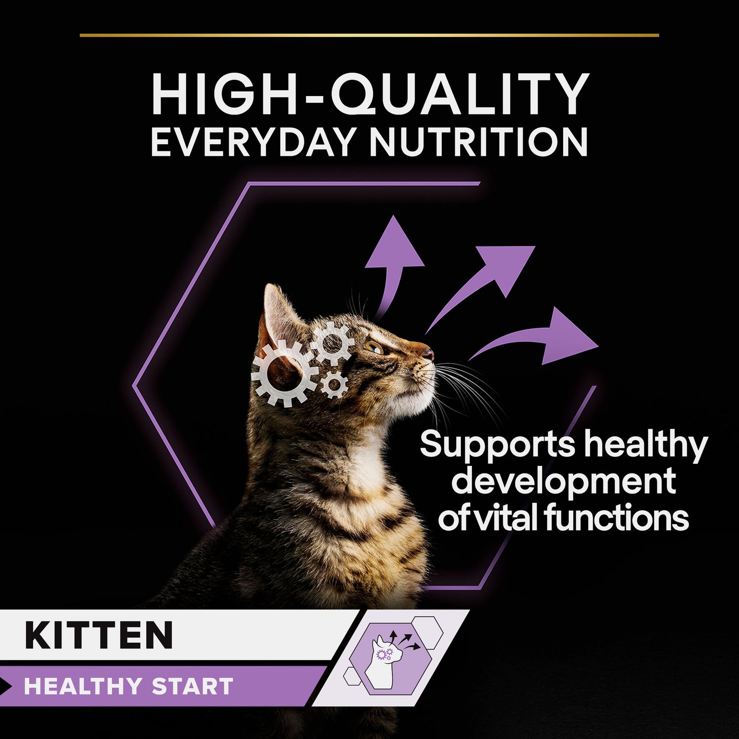 Pro Plan Kitten Healthy Start Wet Cat Food Pouch Turkey in Gravy 85g x 26