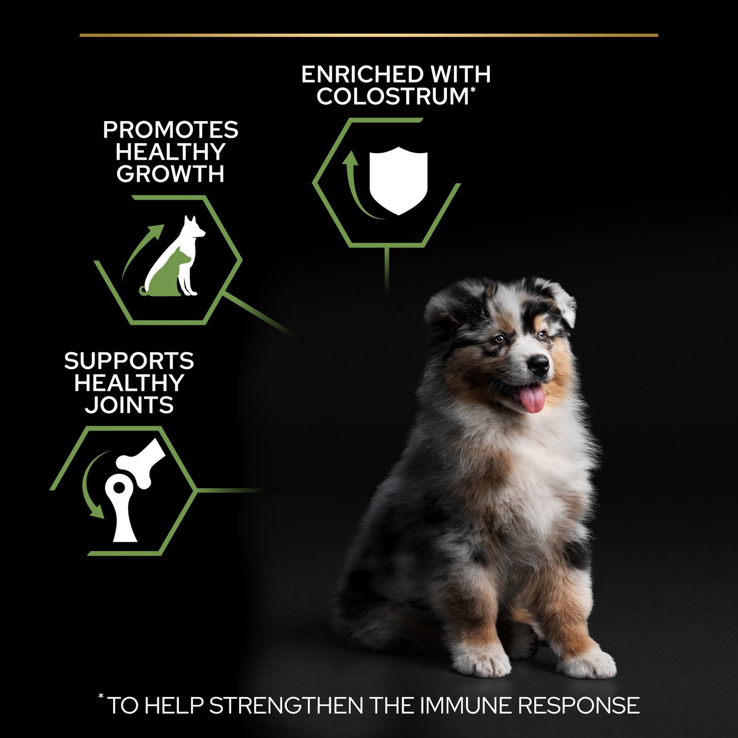 Pro Plan Medium Puppy Healthy Start Dry Dog Food with Chicken