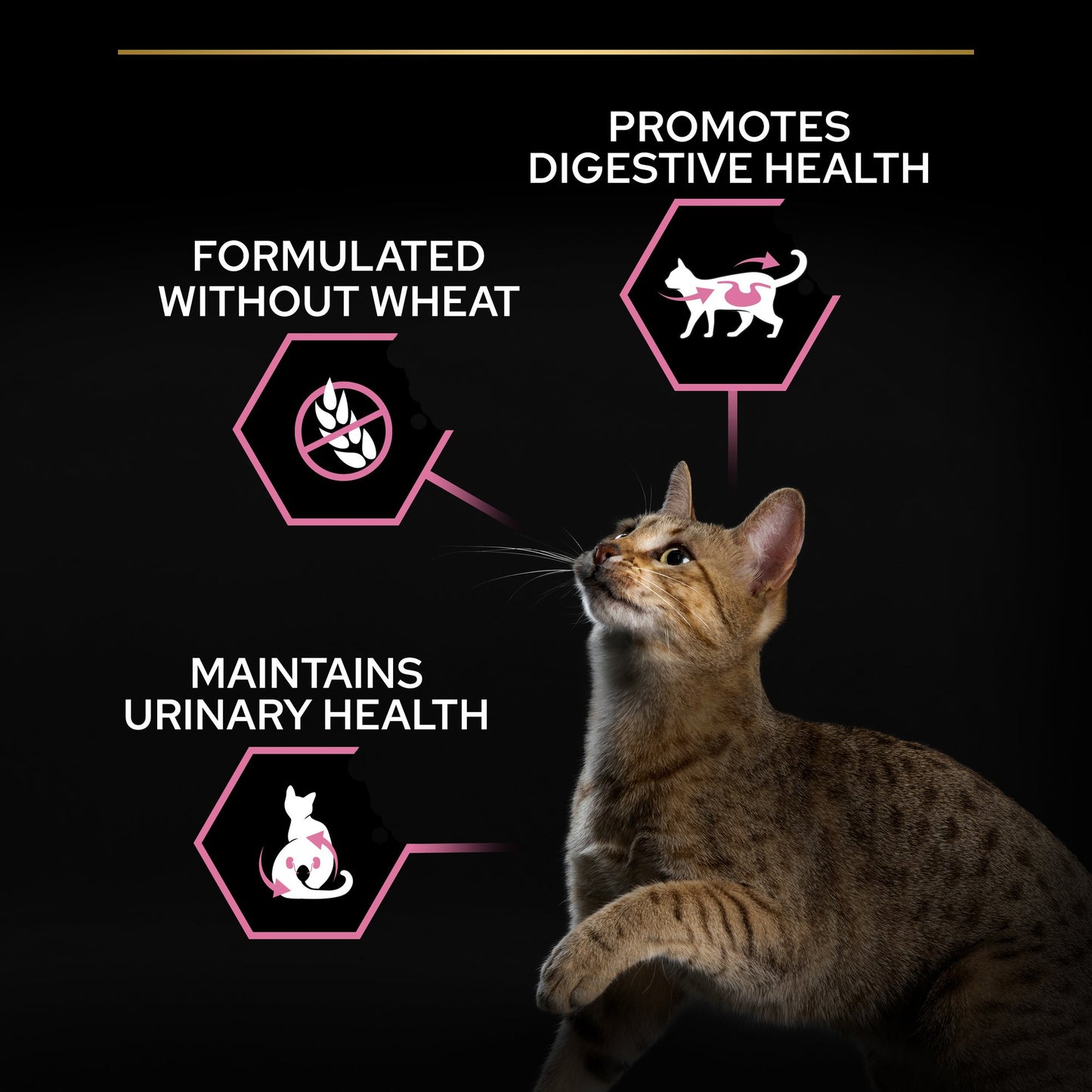 Pro Plan Sterilised Adult Delicate Digestion Dry Cat Food with Chicken,  1.5 Kg