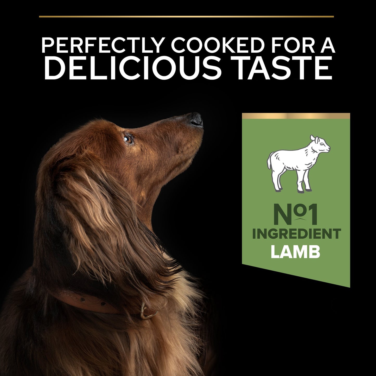 Pro Plan Small Mini Adult Sensitive Digestion Dry Dog Food with Lamb 3Kg