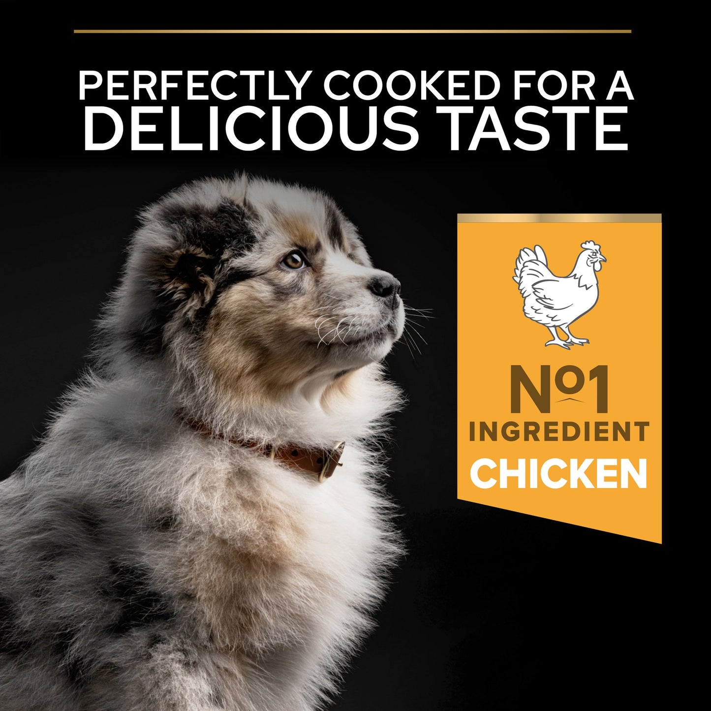 Pro Plan Medium Puppy Healthy Start Dry Dog Food with Chicken