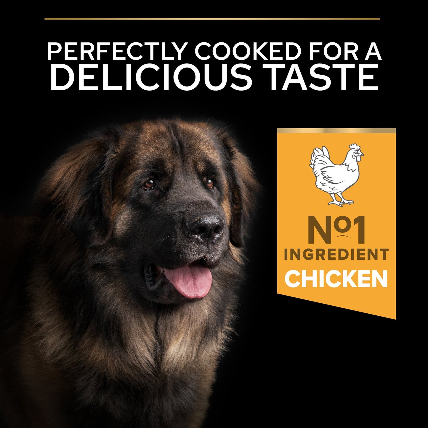 Pro Plan Large Robust Adult Everyday Nutrition Dry Dog Food with Chicken 14Kg