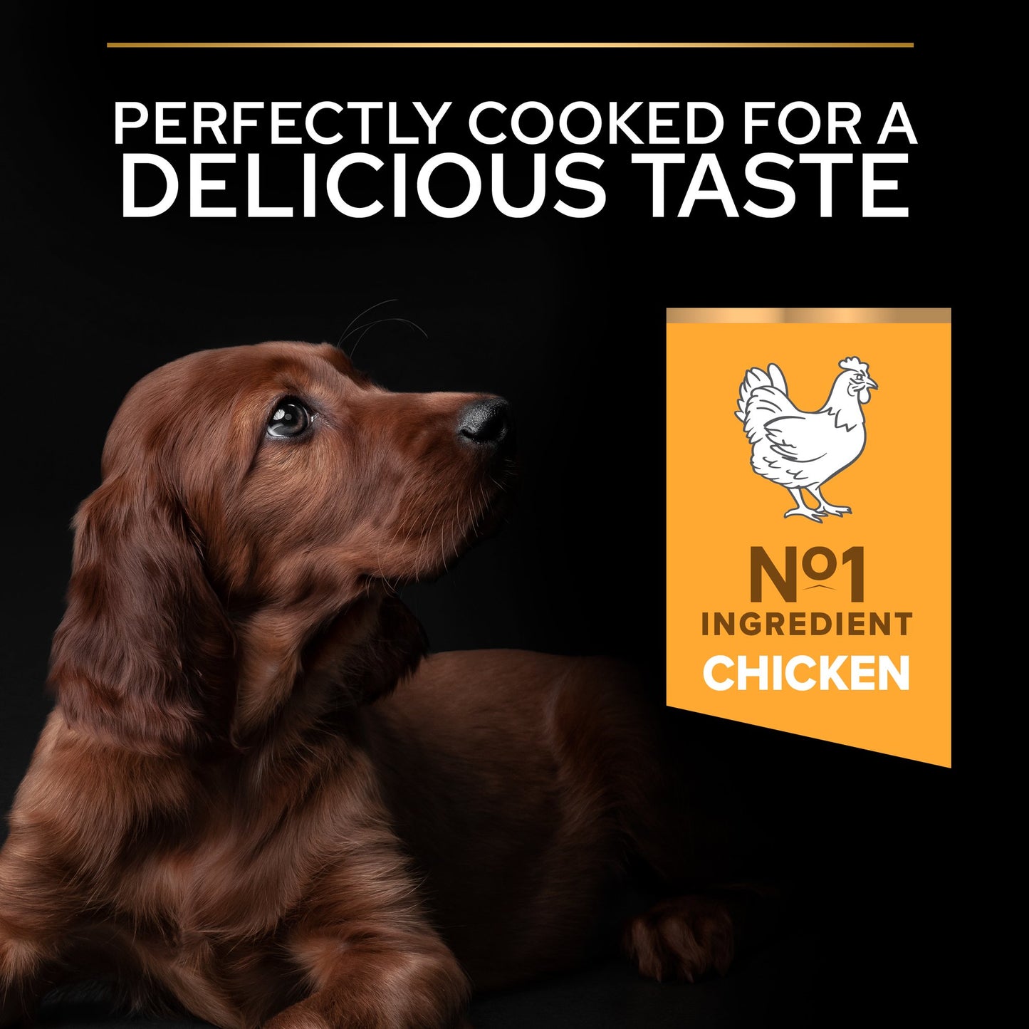 Pro Plan Healthy Start Large Athletic Puppy, Dry Dog food with Chicken,