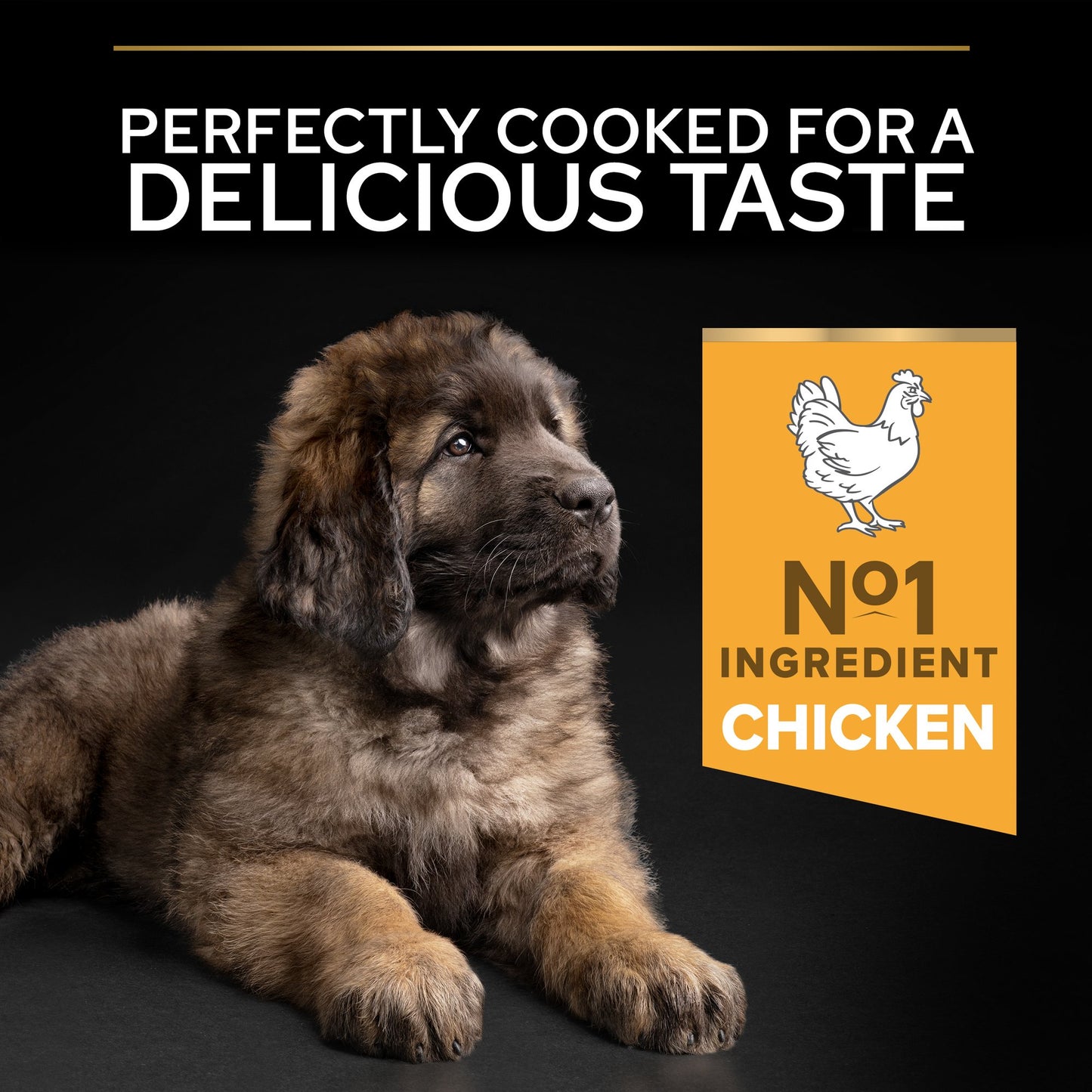 Pro Plan Large Robust Puppy Healthy Start Dry Dog Food with Chicken