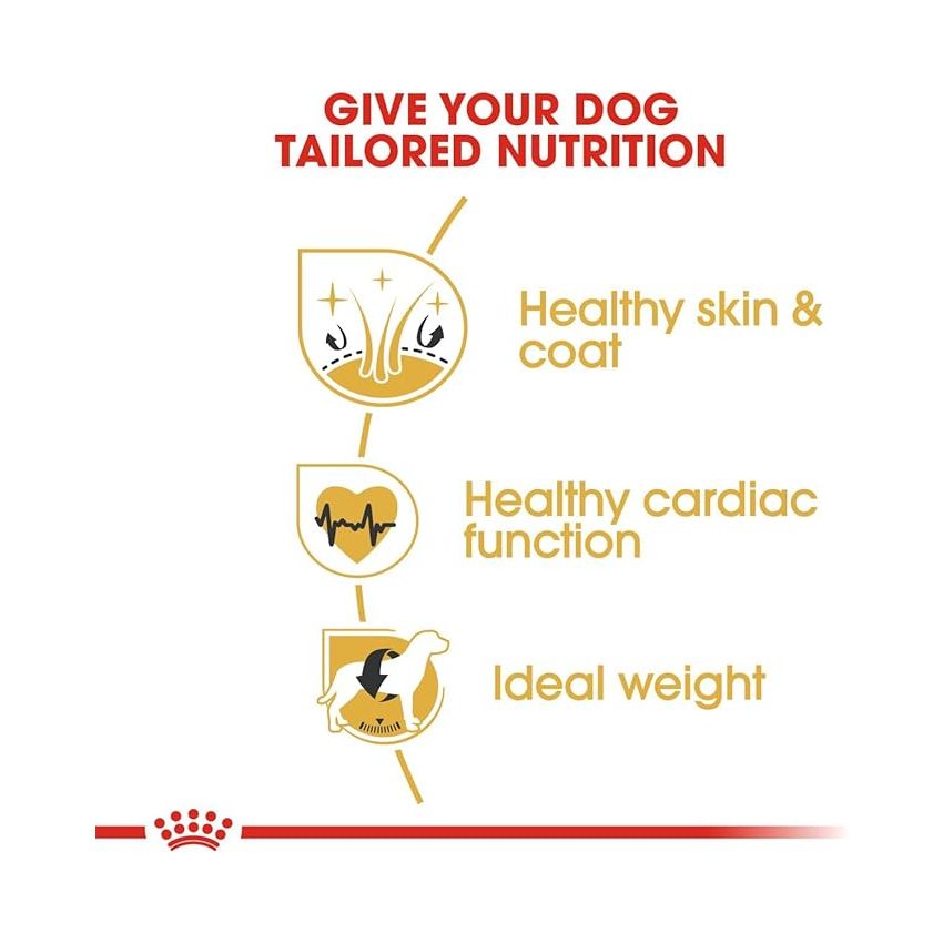 BHN GOLDEN RETRIEVER 12KG Royal Canin