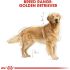 BHN GOLDEN RETRIEVER 12KG Royal Canin