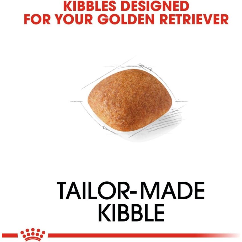 BHN GOLDEN RETRIEVER 12KG Royal Canin