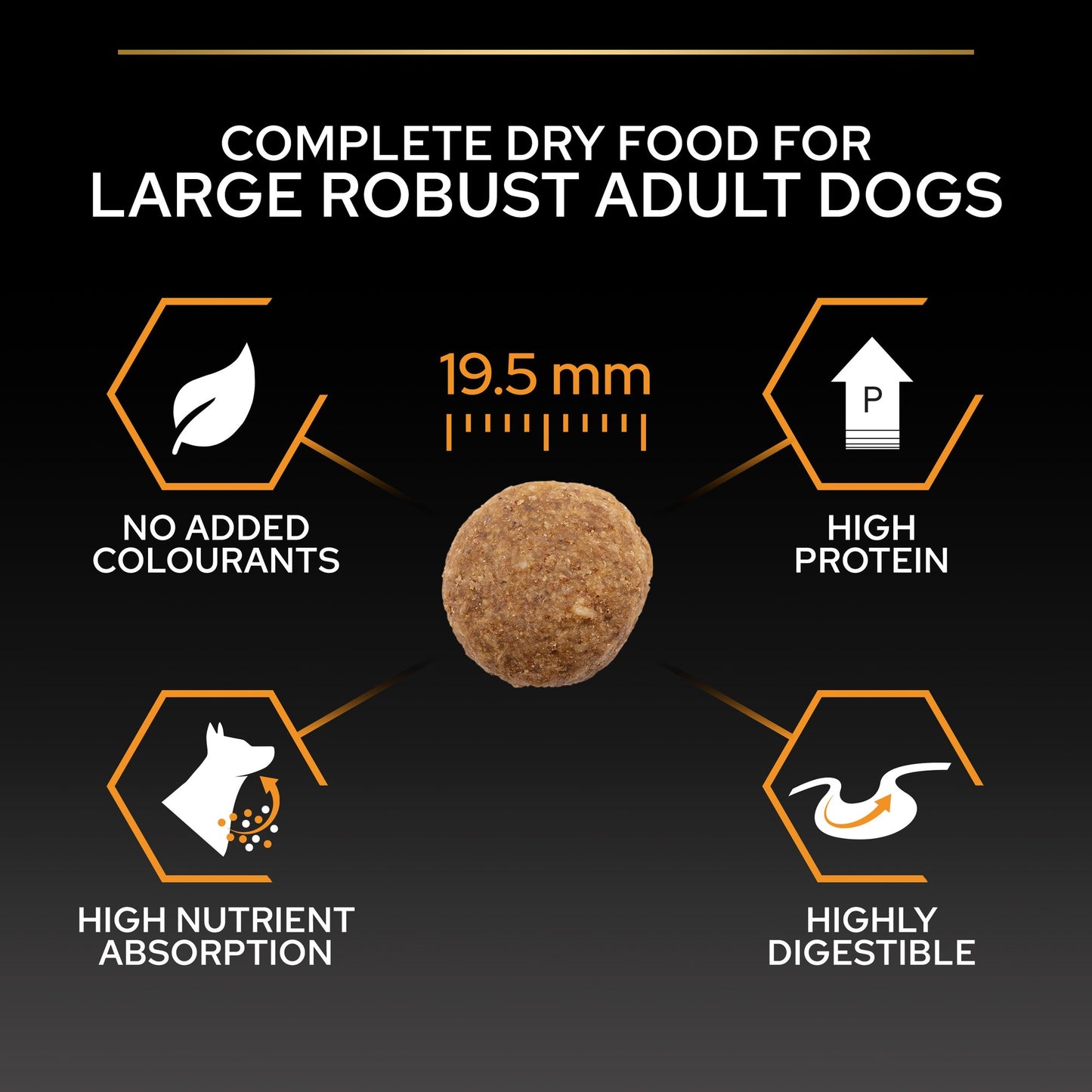 Pro Plan Large Robust Adult Everyday Nutrition Dry Dog Food with Chicken 14Kg