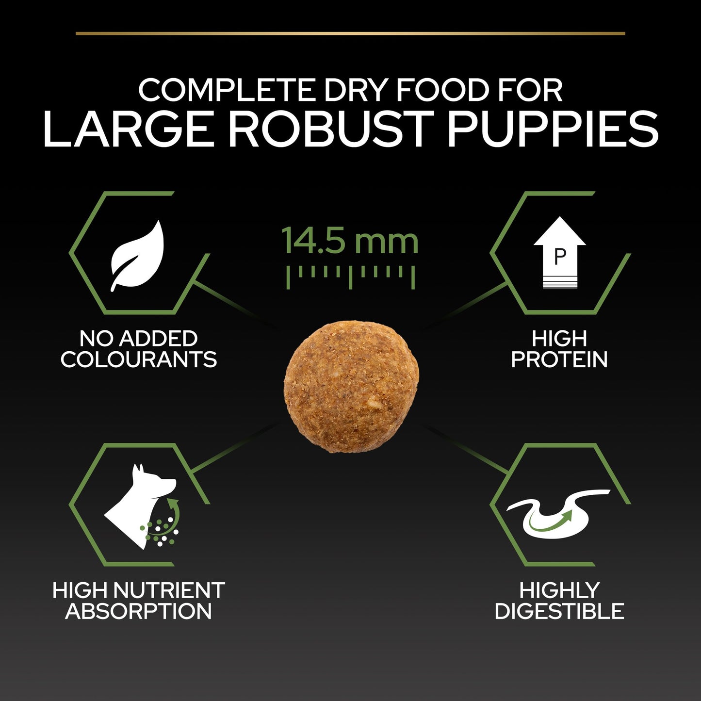 Pro Plan Large Robust Puppy Healthy Start Dry Dog Food with Chicken