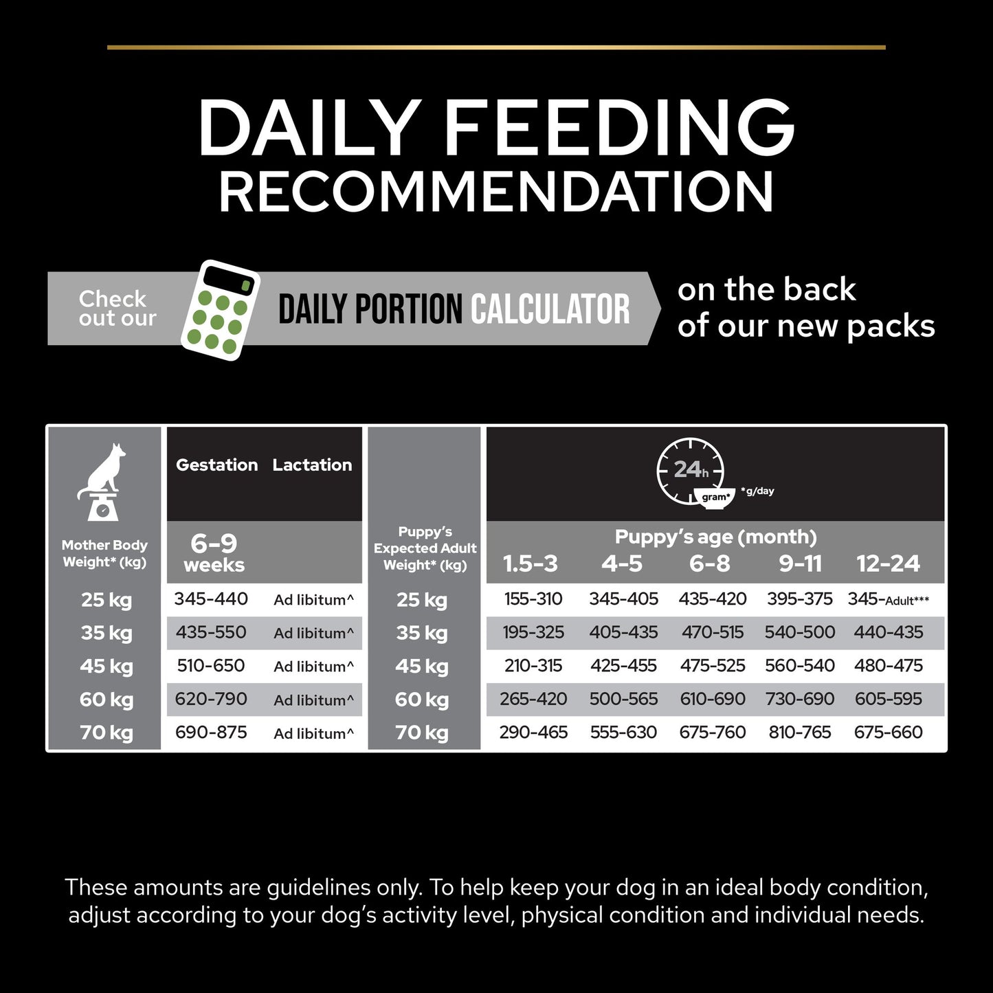 Pro Plan Large Robust Puppy Healthy Start Dry Dog Food with Chicken