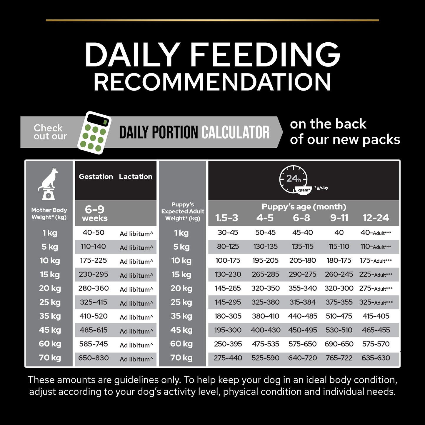 Pro Plan Medium Puppy Healthy Start Dry Dog Food with Chicken