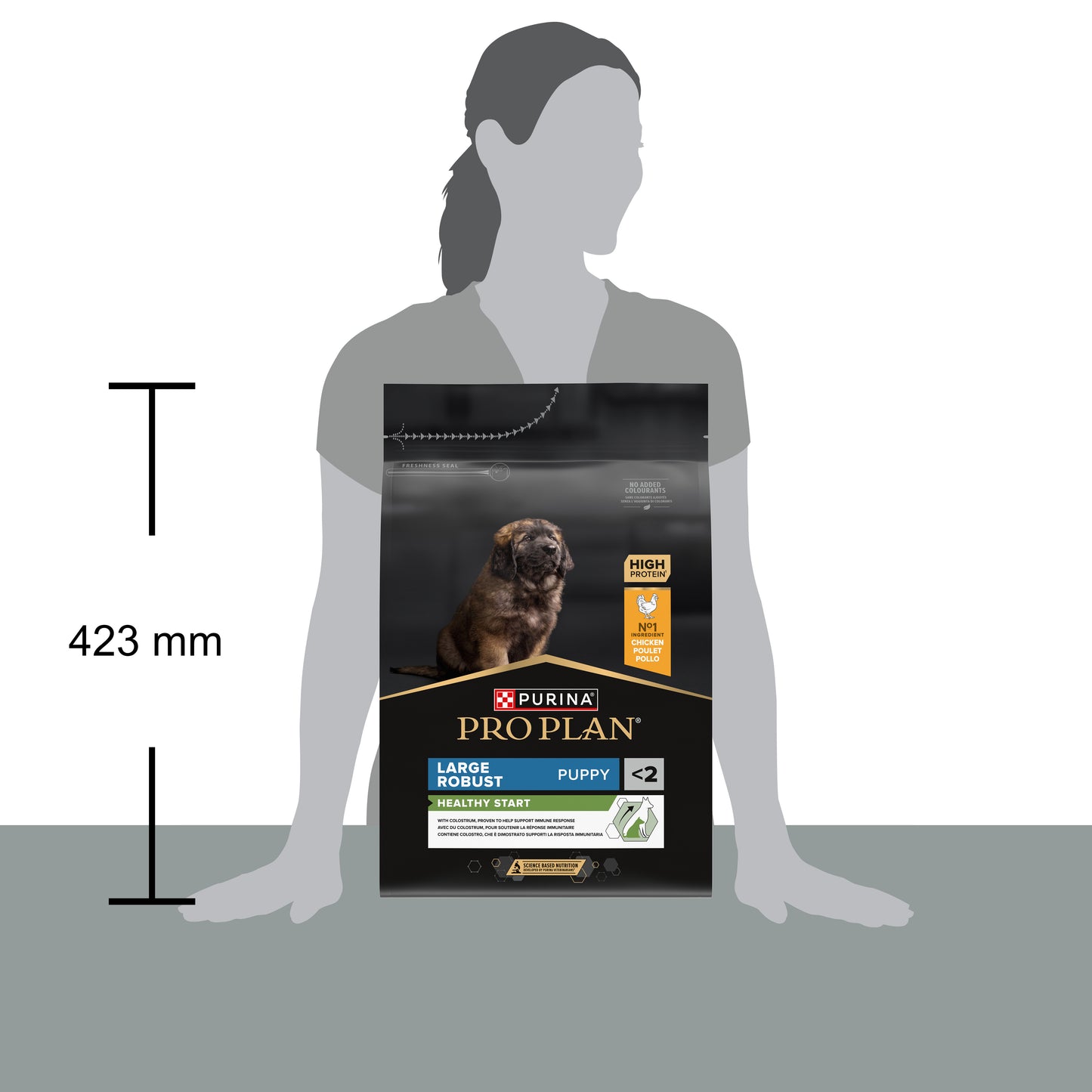 Pro Plan Large Robust Puppy Healthy Start Dry Dog Food with Chicken